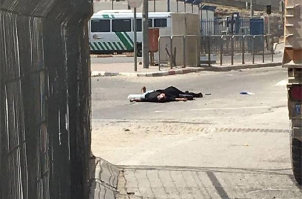 الشقيقان الشهيدان 