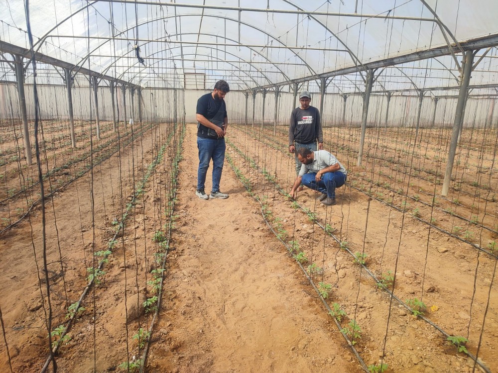 زراعة الوسطى تنظم زيارات ميدانية لمزارعي المنطقة الغربية للنصيرات