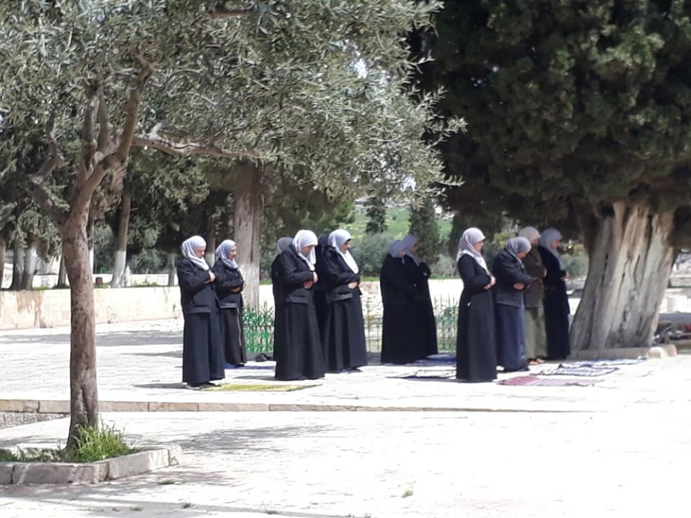 90425953_502114120429822_8130774563395993600_n