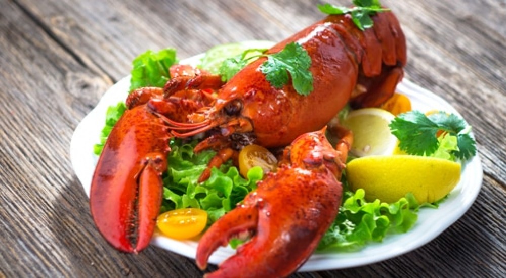 في الولايات المتحدة الأميركية هبطت أسعار الكركند أو مايعرف بالإنجليزية باللوبستر 17 في المئة