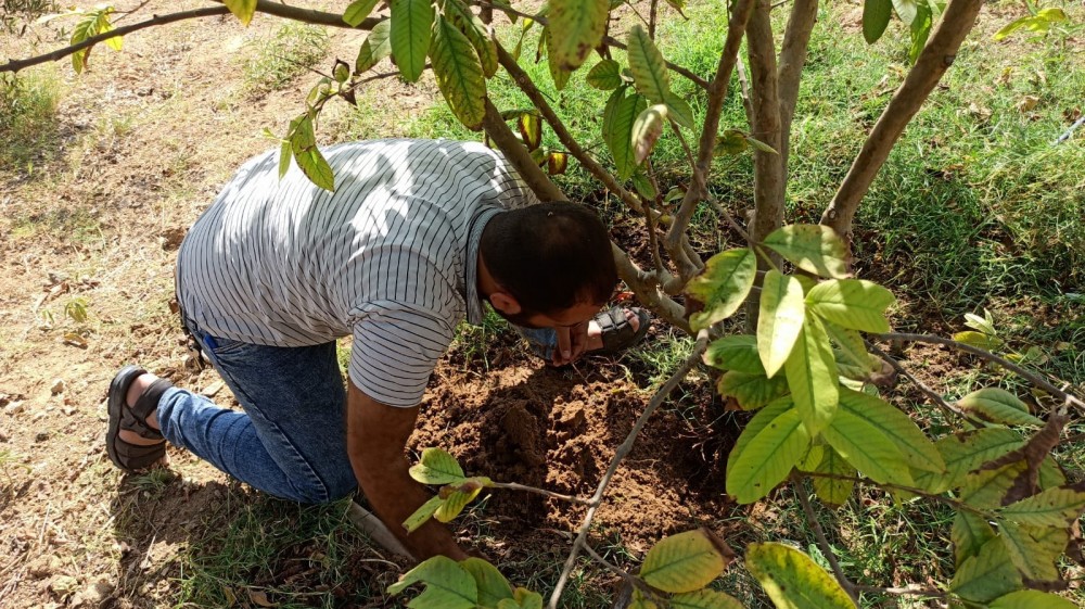 376807191_6637537979658899_4363655407433799049_n