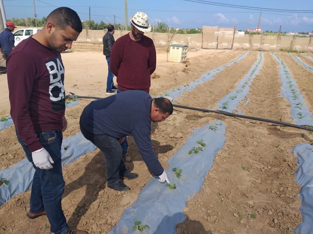 92828131_2894248187321249_2160100110137032704_n