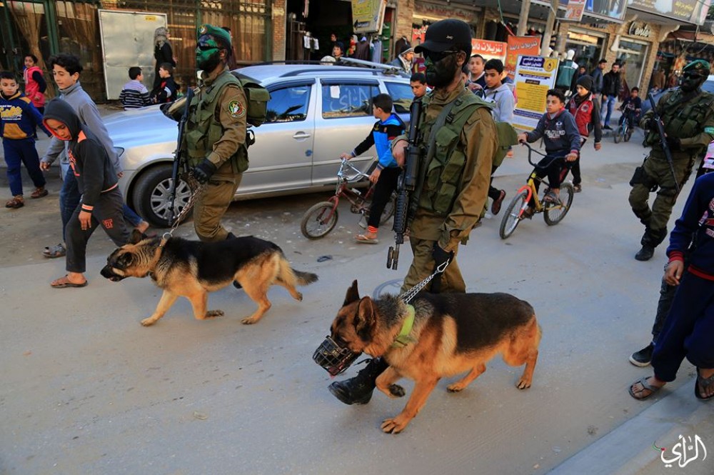 16142870_10209283889189078_405294892575785514_n