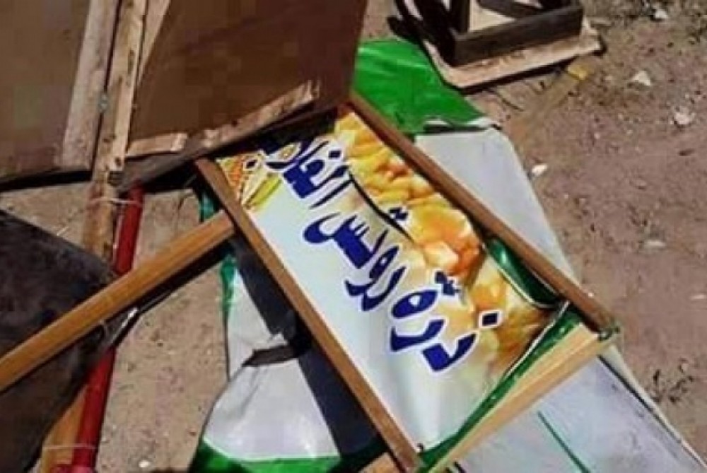 بسطة روتس الغلابا