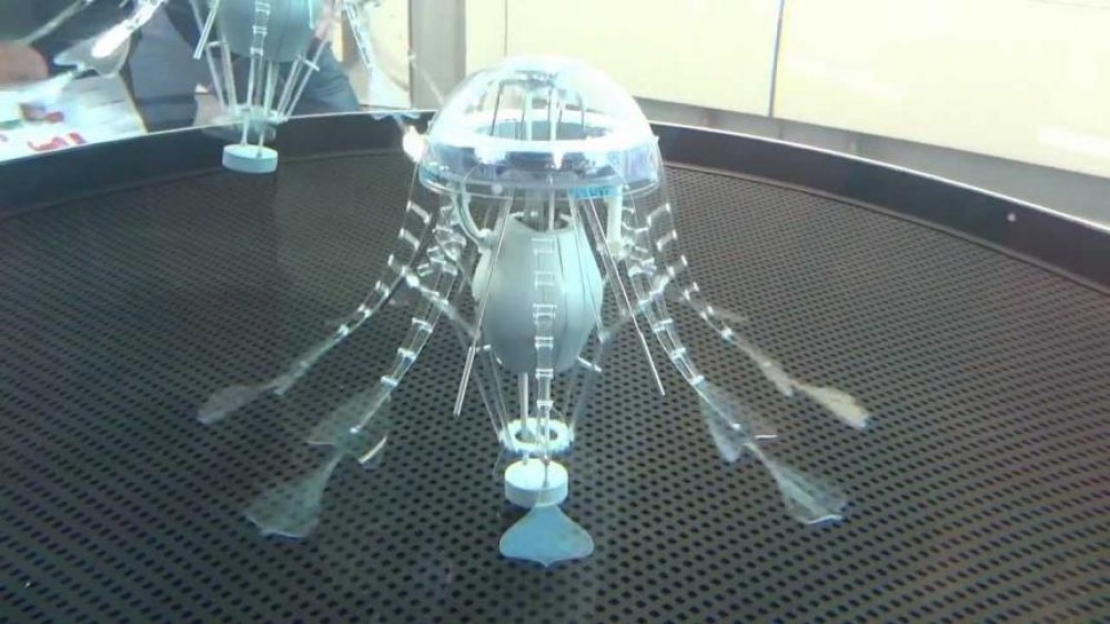 باحثون أمريكيون يطورون روبوتات لينة تشبه قناديل البحر