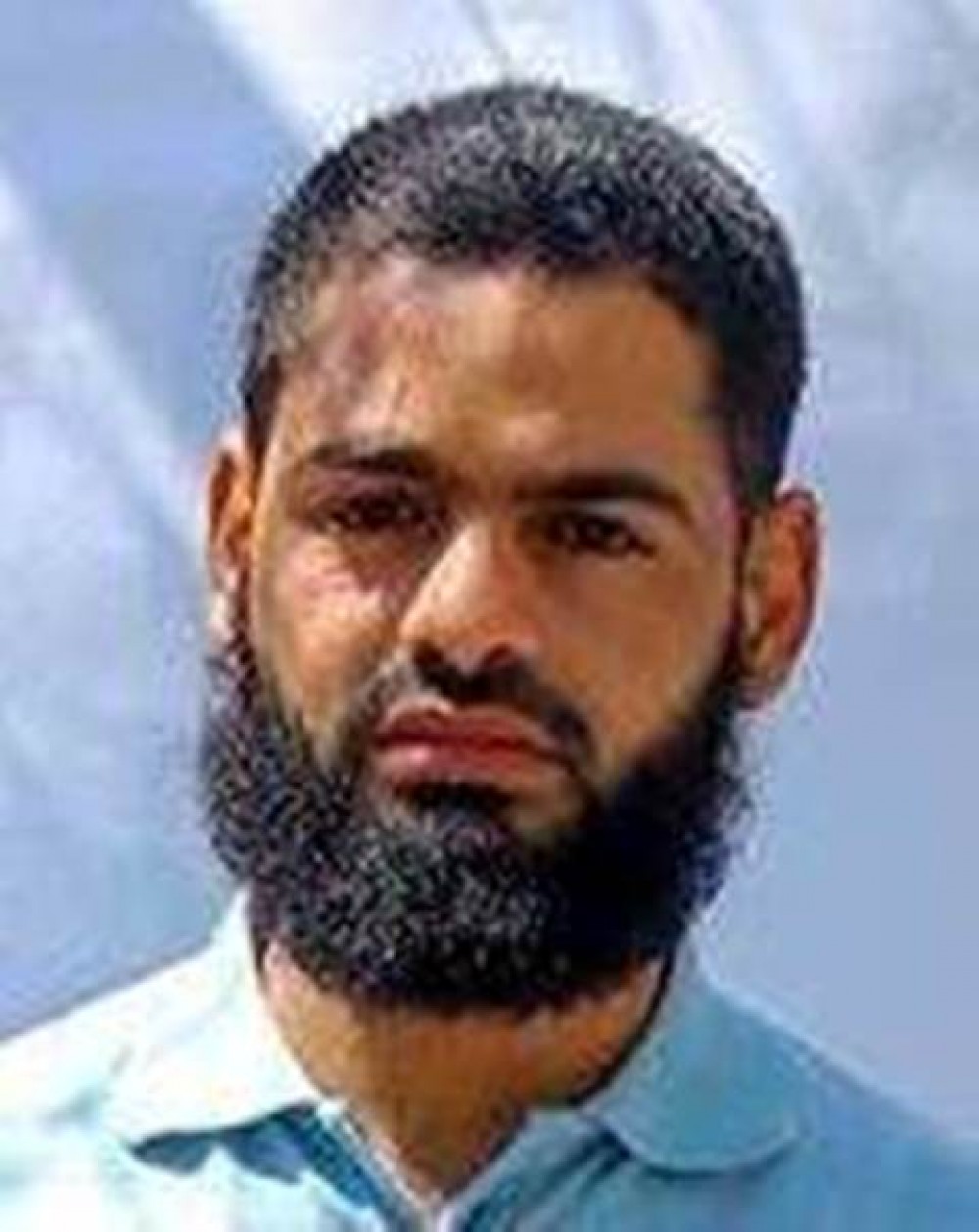 محمد علان