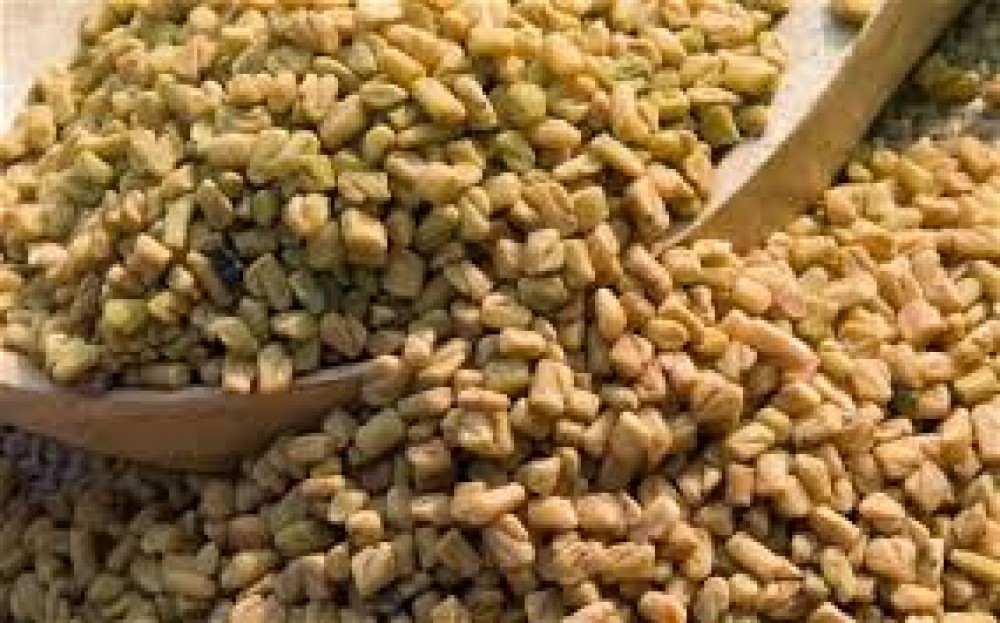 حلبة
