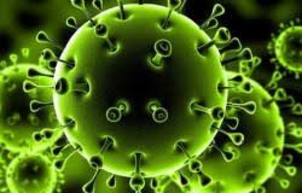 الصحة تشكل لجان حكومية وأهلية لتعزيز إجراءات الوقاية 