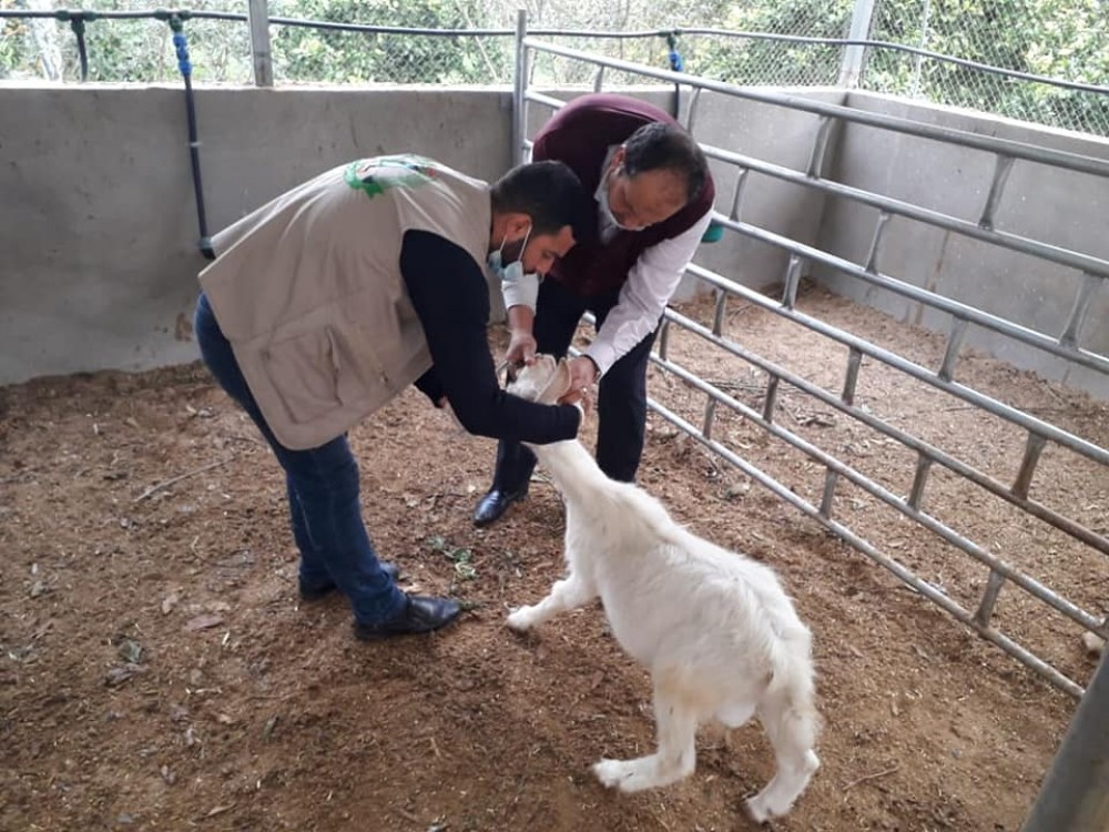 136023152_3663527147060012_3642335496366379107_n