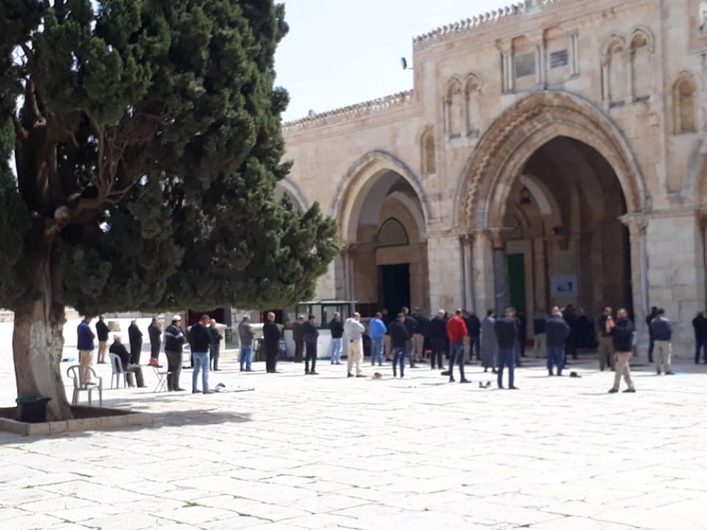 90526772_502114143763153_4612053616088317952_n