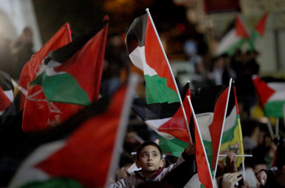 طفل يرفع فلسطين