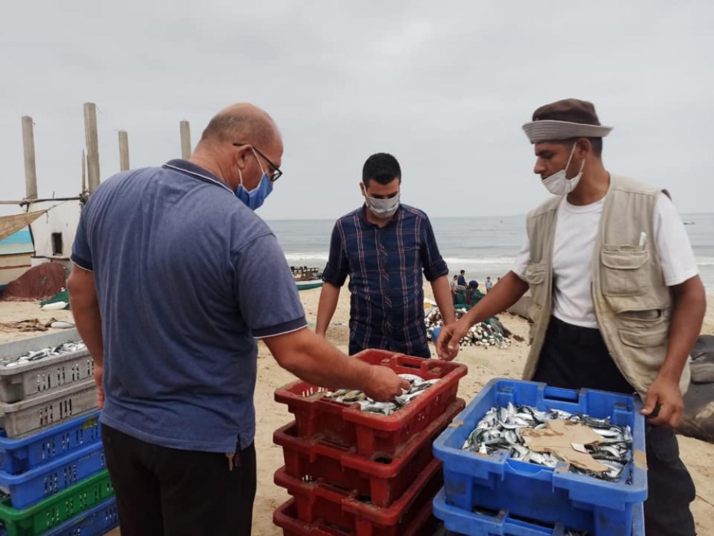 طوارئ رفح تنفذ جولات ميدانية على حسبة السمك ومحلات بيع المبيدات