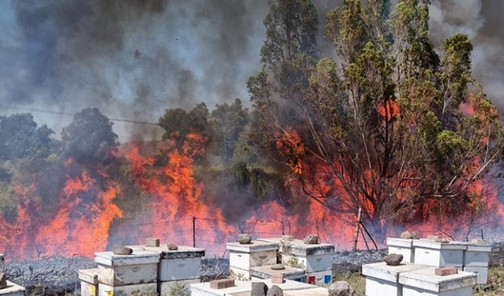 حرائق في الداخل المحتل