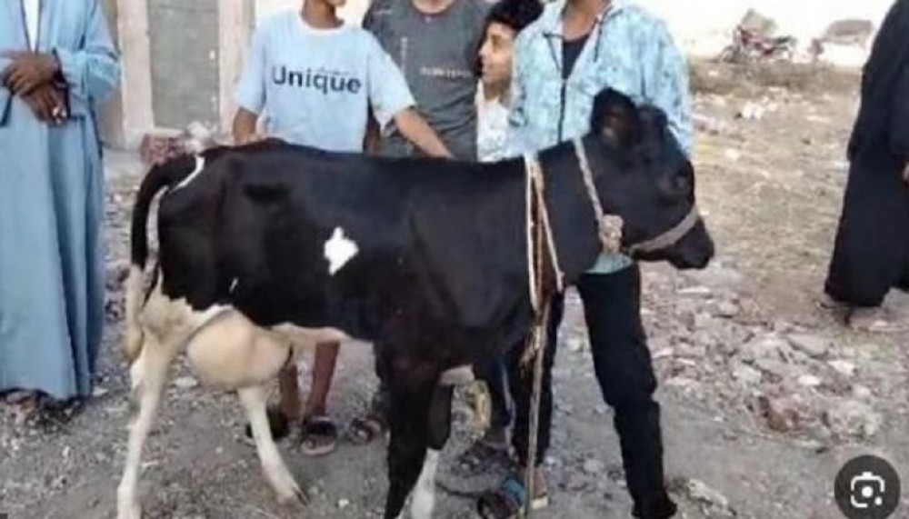 ضجة في مصر بسبب 