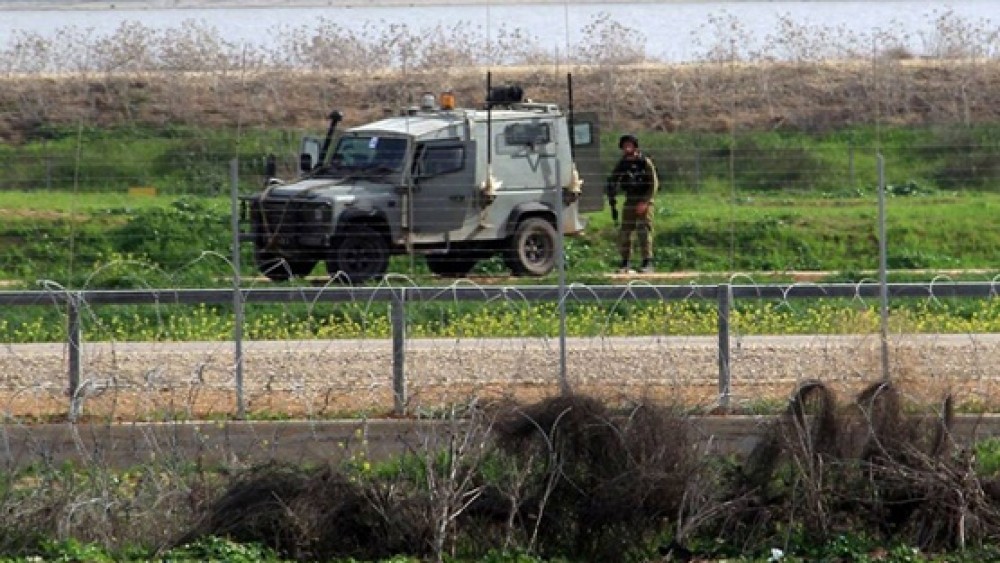 صورة أرشيفية 