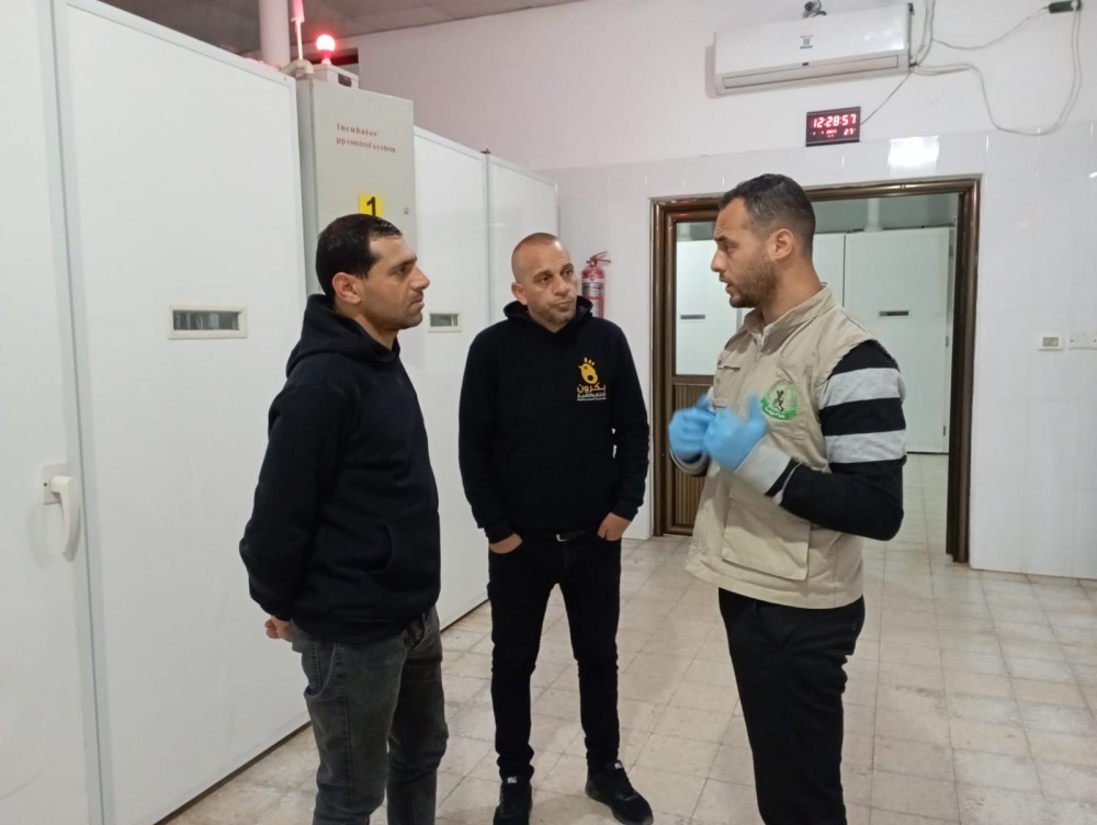 الزراعة تنفذ زيارات رقابية لفقاسات ومفرخات الدجاج