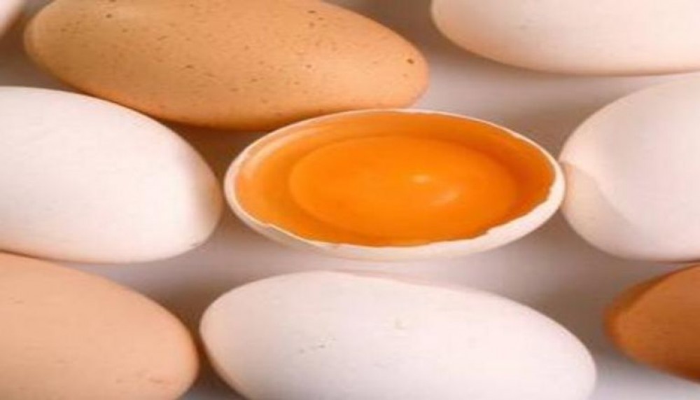 قشر البيض.. فوائد عديدة لجسمك وعظامك