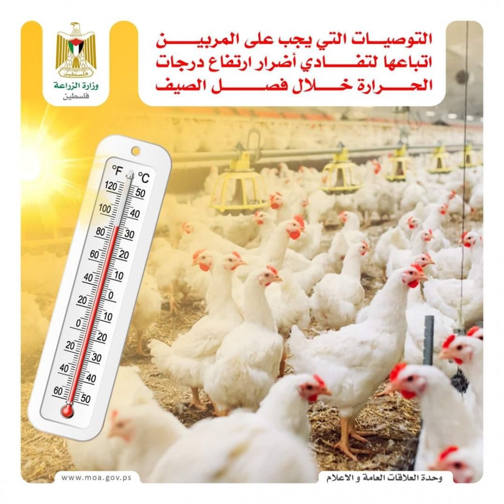 مجموعة من الإرشادات المهمة لمربي الثروة الحيوانية لتفادي أضرارارتفاع درجات الحرارة