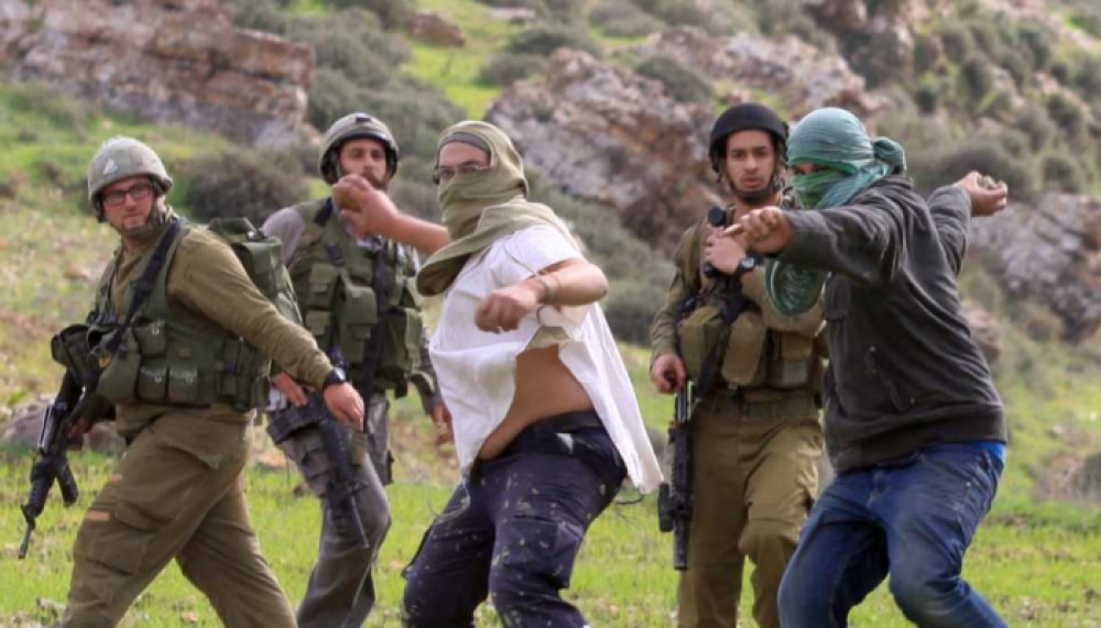 85-182916-palestine-demand-settlers-terrorist_700x400