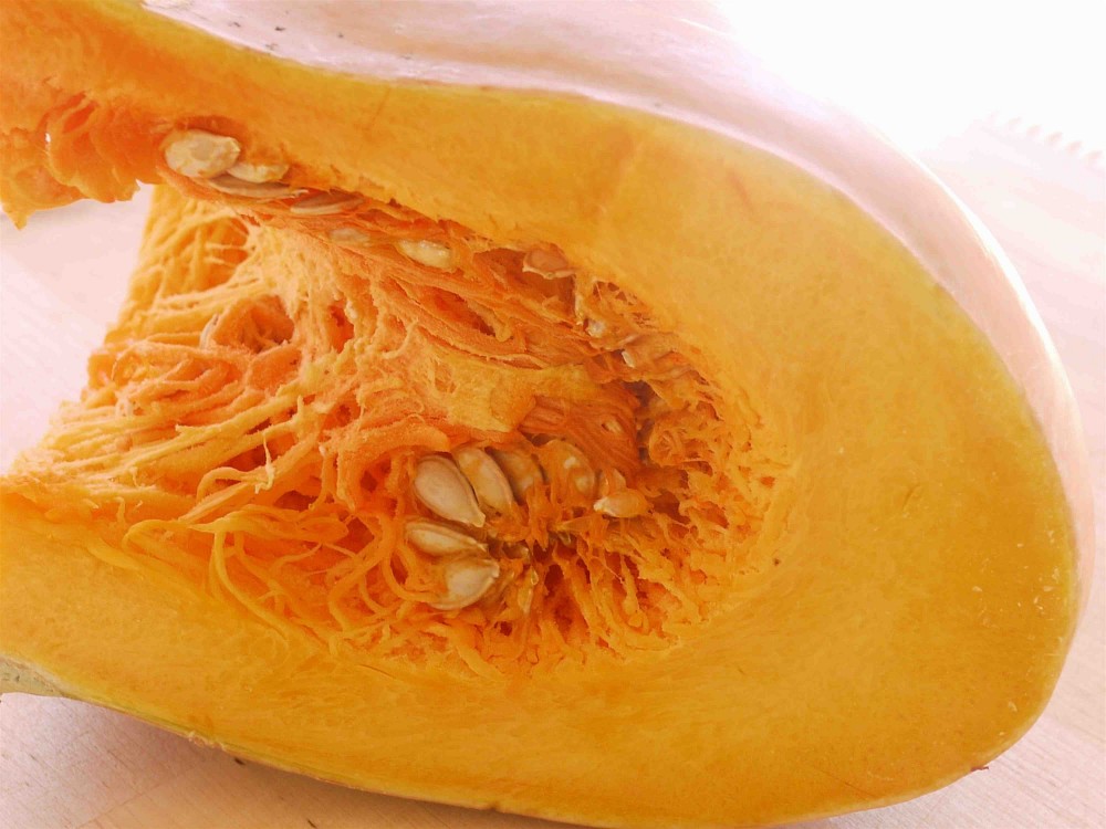 القرع الاصفر