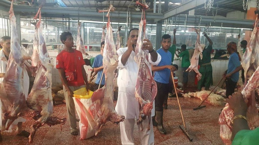 21272310_1475824835846922_5991402964850998007_n