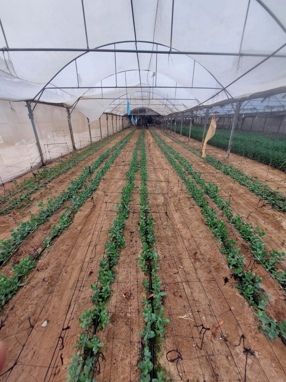 347244879_6329547510457949_1501603335345631003_n