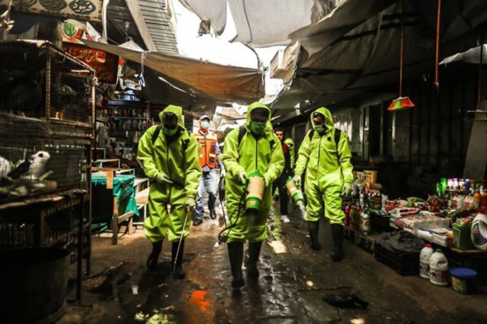 91020328_195705775217702_7707981530420740096_n