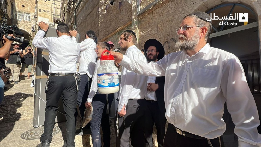 photo_2023-07-23_10-09-14