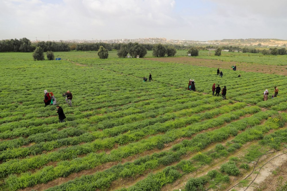 d099d89b-b7ae-4022-a693-d4564ee38659