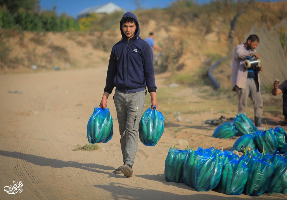 photo_٢٠٢٣-٠٥-١٤_٠٩-٥٥-٣٩