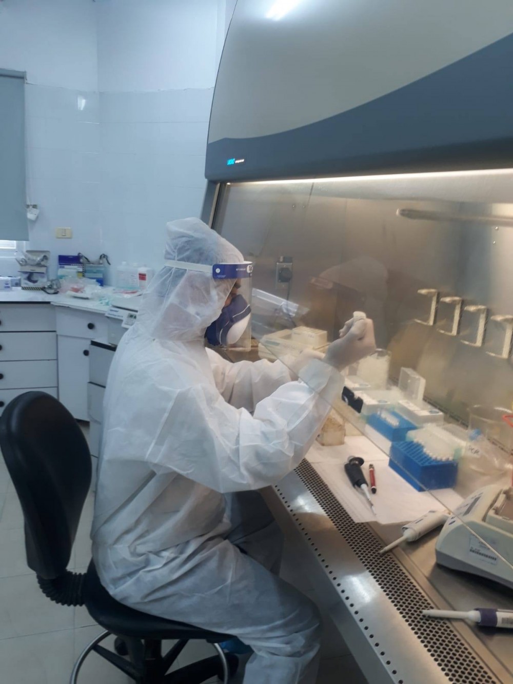 91239150_499333200742125_1715269002965549056_n