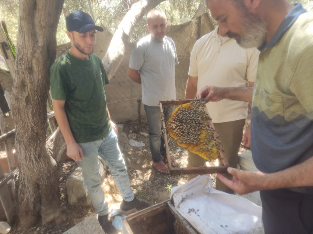 وزارة الزراعة تنفذ جولات ميدانية لدعم نحالي الوسطى وحماية خلايا النحل