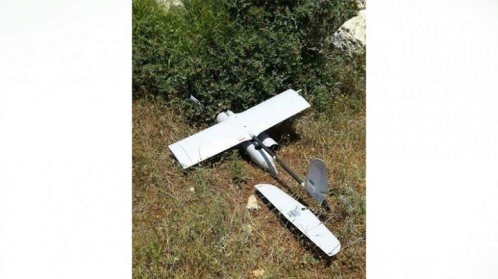 الطاشرة الساقطة