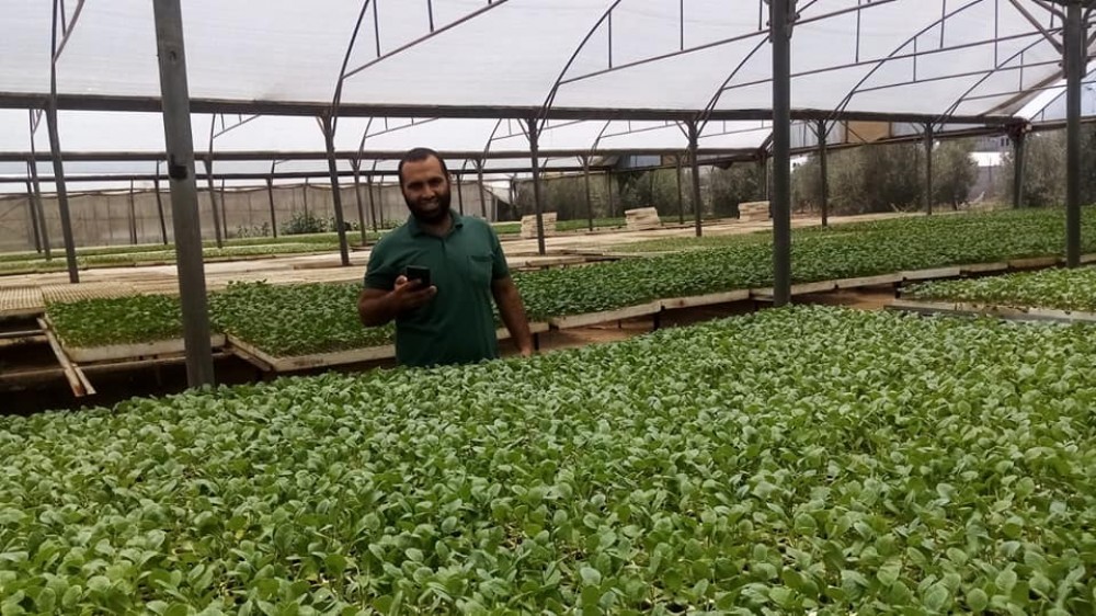 زراعة الوسطى تتفقد مشاتل الخضار و البستنة الشجرية