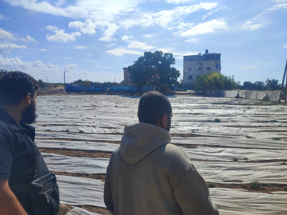 زراعة الوسطى تنفذ جلسات حوارية مع مزارعي دير البلح لتحديد احتياجاتهم الزراعية