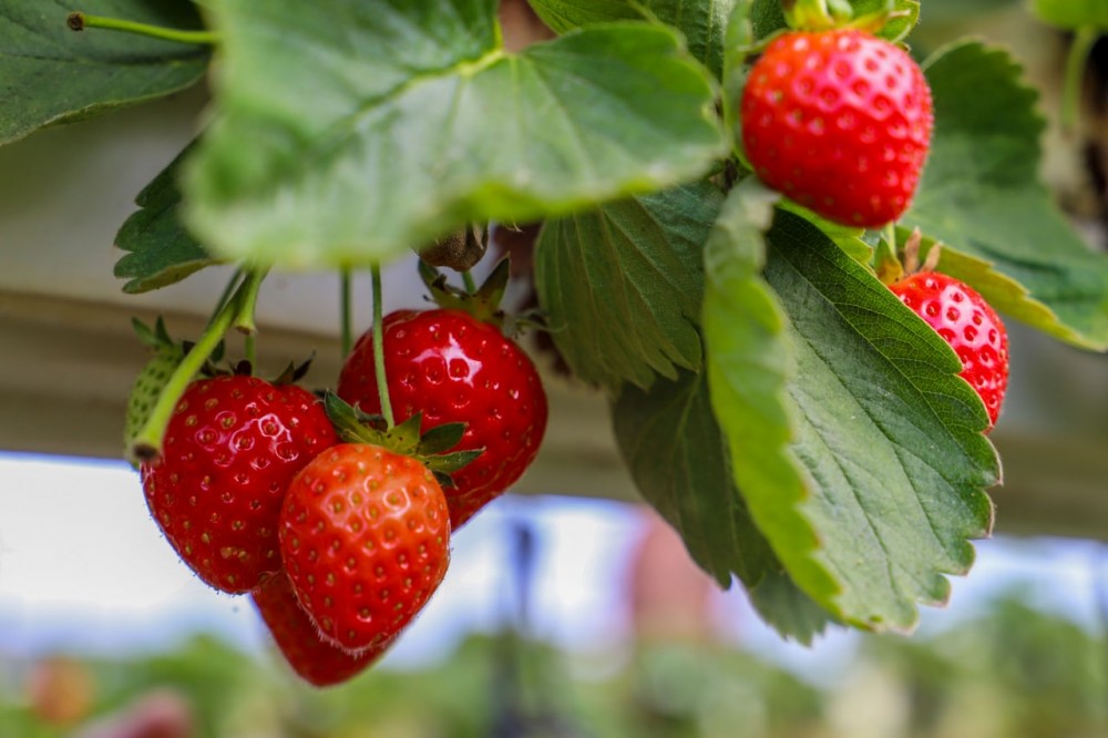 9c470a75-0611-4043-abf9-b45827e9fbd4