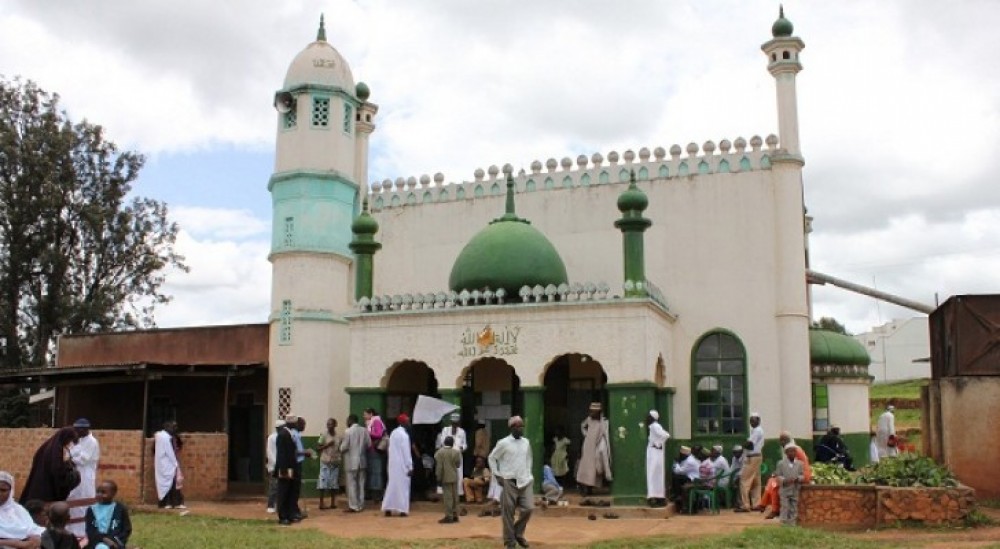 manar-00991670016796468216