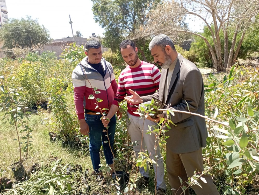 الزراعة تبدأ بتوزع أشتال 