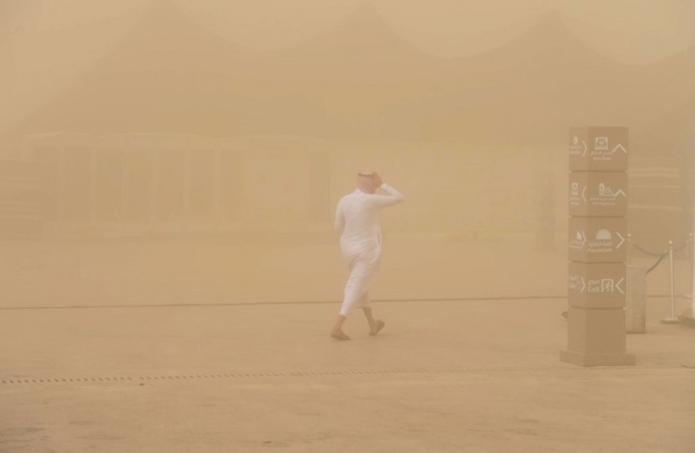 شاهد.. 