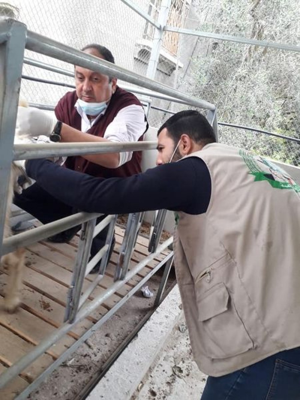 136486814_3663526500393410_8700207348109178104_n