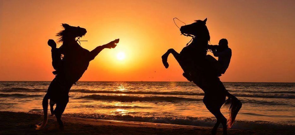 خيول على بحر مدينة غزة