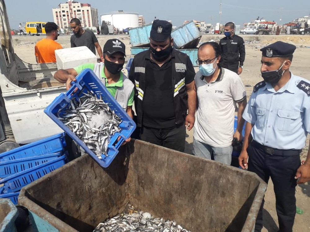 220كيلو جرام من الأسماك غير صالحة للاستهلاك 