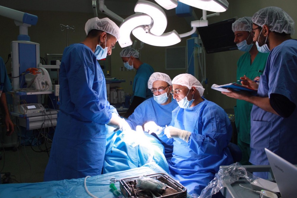 عملية زراعة قوقعة في قطاع غزة