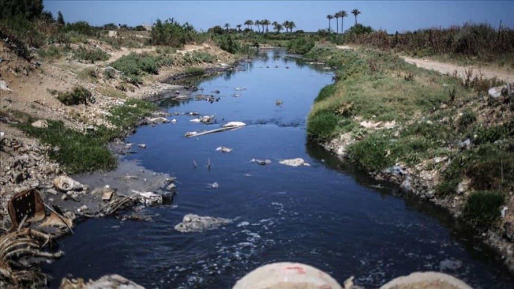 وادي غزة