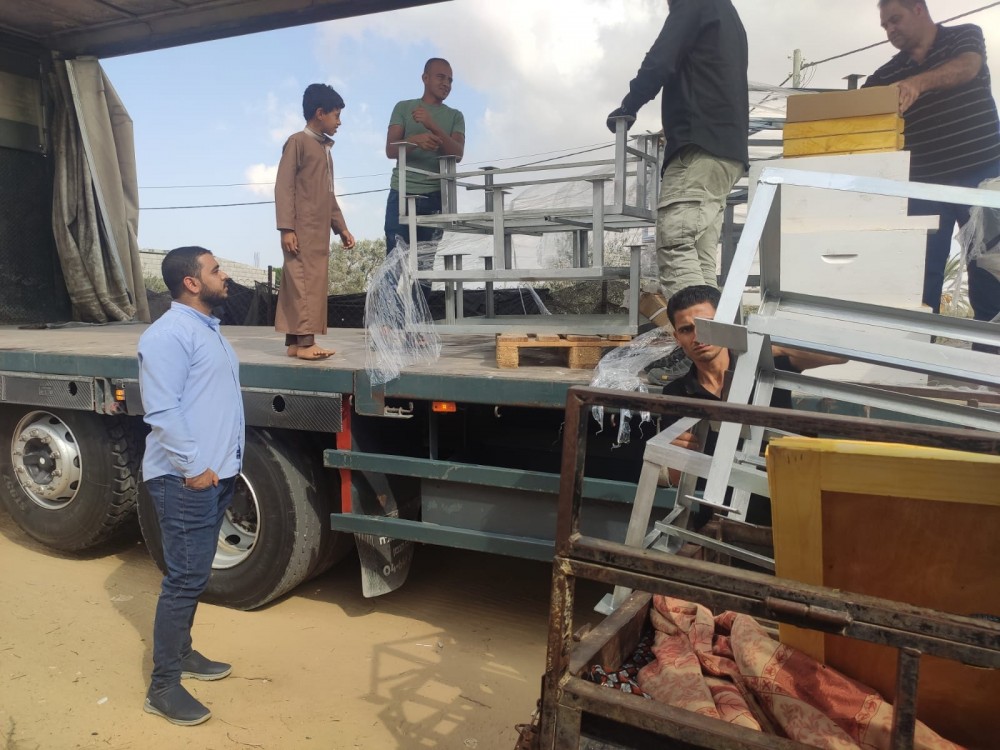 الزراعة توزع خلايا نحل بالتعاون مع الصليب الأحمر بمحافظة رفح