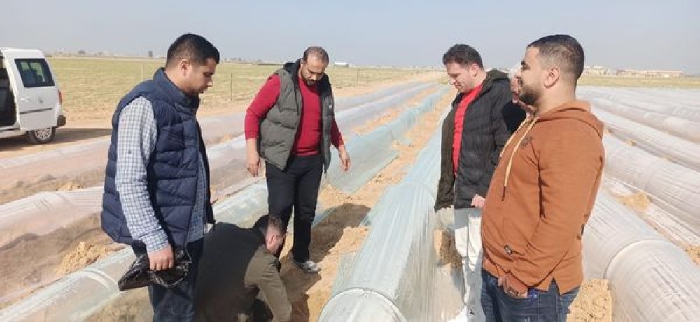  زراعة رفح تجري جولة ميدانية لتطبيق الخطط الإرشادية