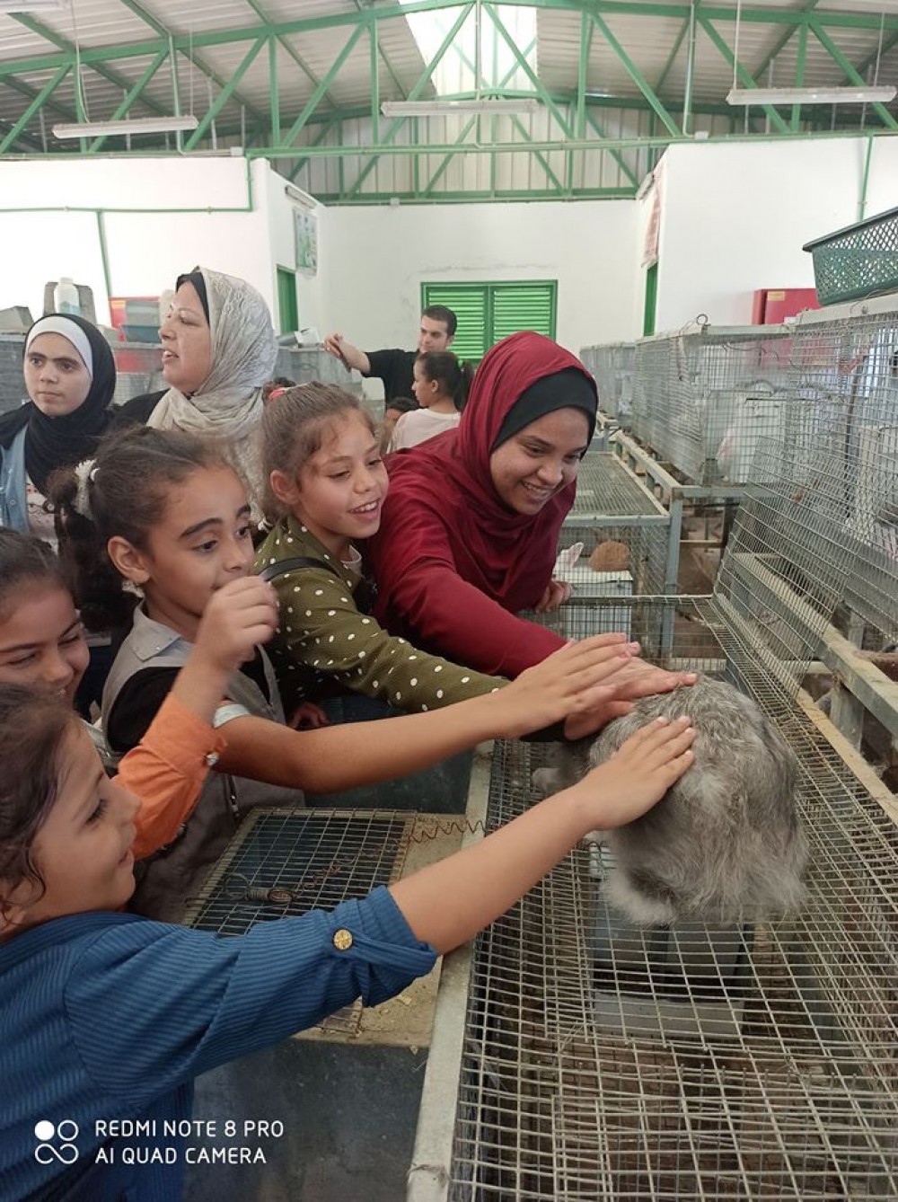 زراعة شمال غزة تواصل تنفيذ مبادرة 