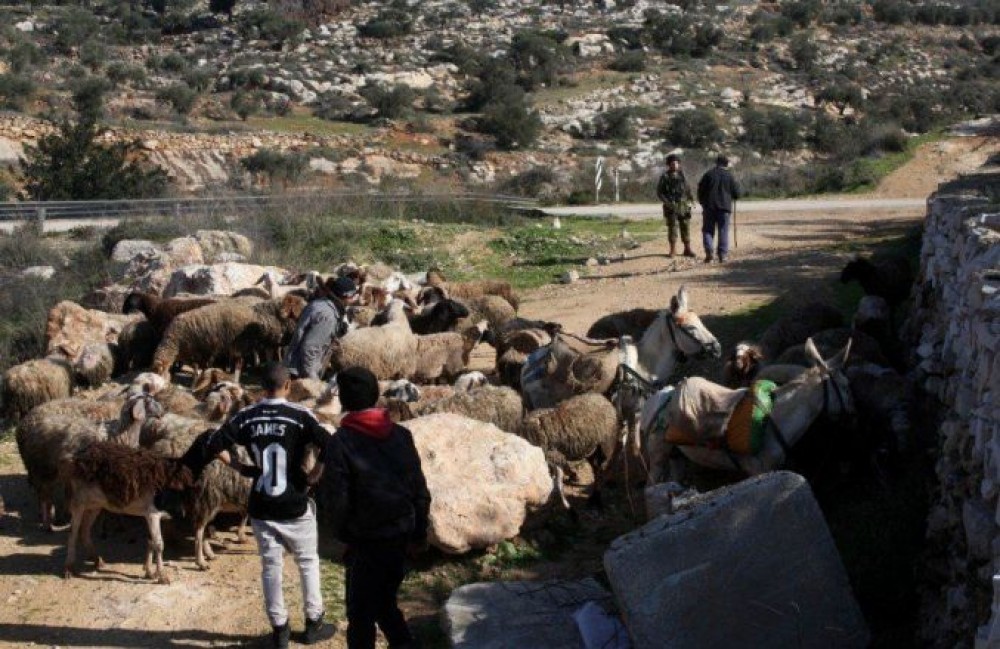 صورة أرشيفية 