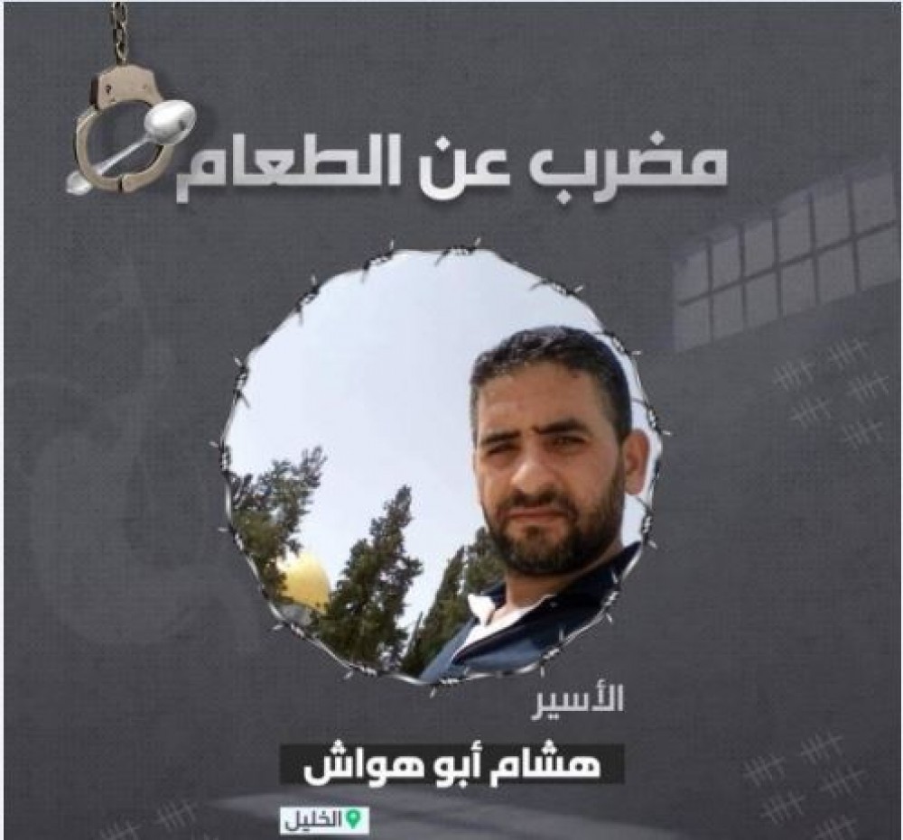 التقاط