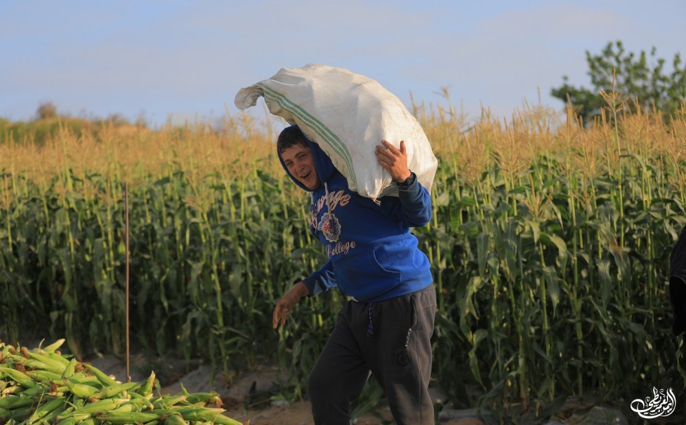 photo_٢٠٢٣-٠٥-١٤_٠٩-٥٥-٣٩ (2)